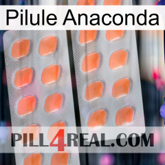 Anaconda Pill 27